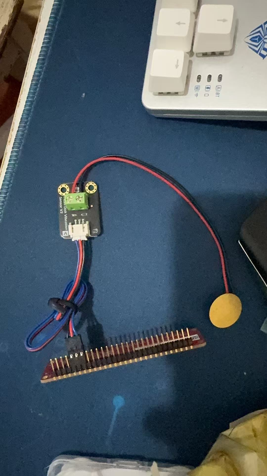 3e84fb1a24009b46bb58f5e2518a268.jpg