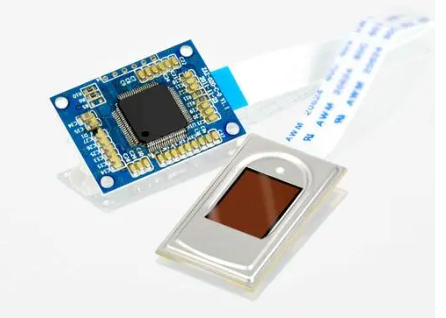 FoDxfR_vC1bjIo4YOMycODZqJTd_